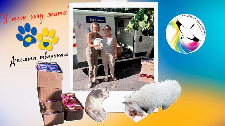 Donated the first batch of food for homeless cats